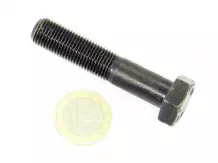 hexagon screw M12x1,25x60 8,8