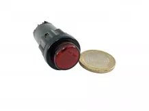 indicator lamp (red)