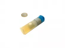Injection nozzle ND-DLLA155P28