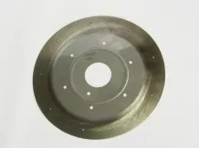 melon seed discs