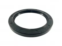 Oil seal 110x145x13