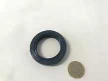 Oil seal 38x55x10