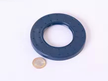 Oil seal 55x100x10
