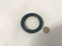 Oil seal 60x80x10