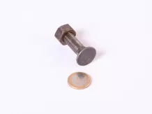 plowshare 12-inch bolt with nut 
