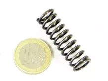 Polish mower compression spring
