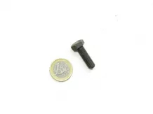 Raba cardan joint small screw (3C) 245-250