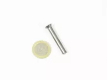 Rivet for mais shoe for Monosem seed drills for Monosem seed drills