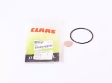 sealing ring 60x3