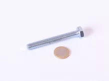 Sechskantschraube M10x80  