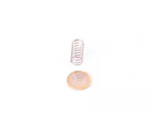 spray spring to spraying head