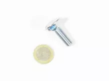 srew M10x30 door hinge