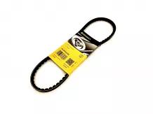 V-belt 10x750