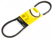 V-belt 10x800
